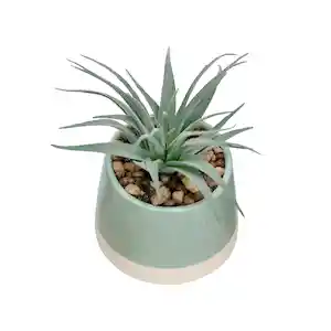 Maceta Dos Tonos Con Cactus Verde 13 cm