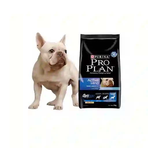 Pro Plan Active Mind 7+ Small Breeds