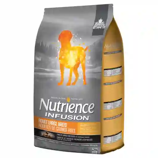 Nutrience Alimento Para Perro Infusión Adulto Saludable Large