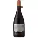 Ventisquero Vino Tinto Reserva Pinot Noir