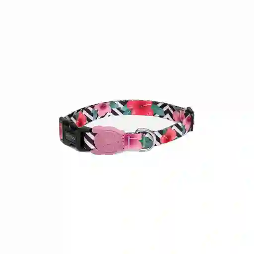 Zee.Dog Collar Canino Mahalo Extra Small