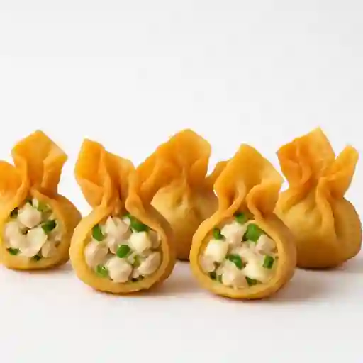 5 Unidades Wantan Relleno