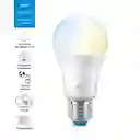 Philips Lámpara Wiz Wifi Blanco Tunable A60 E27 Led 9W 806 Lm