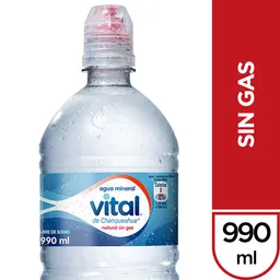 Vital Sin Gas 990 Ml