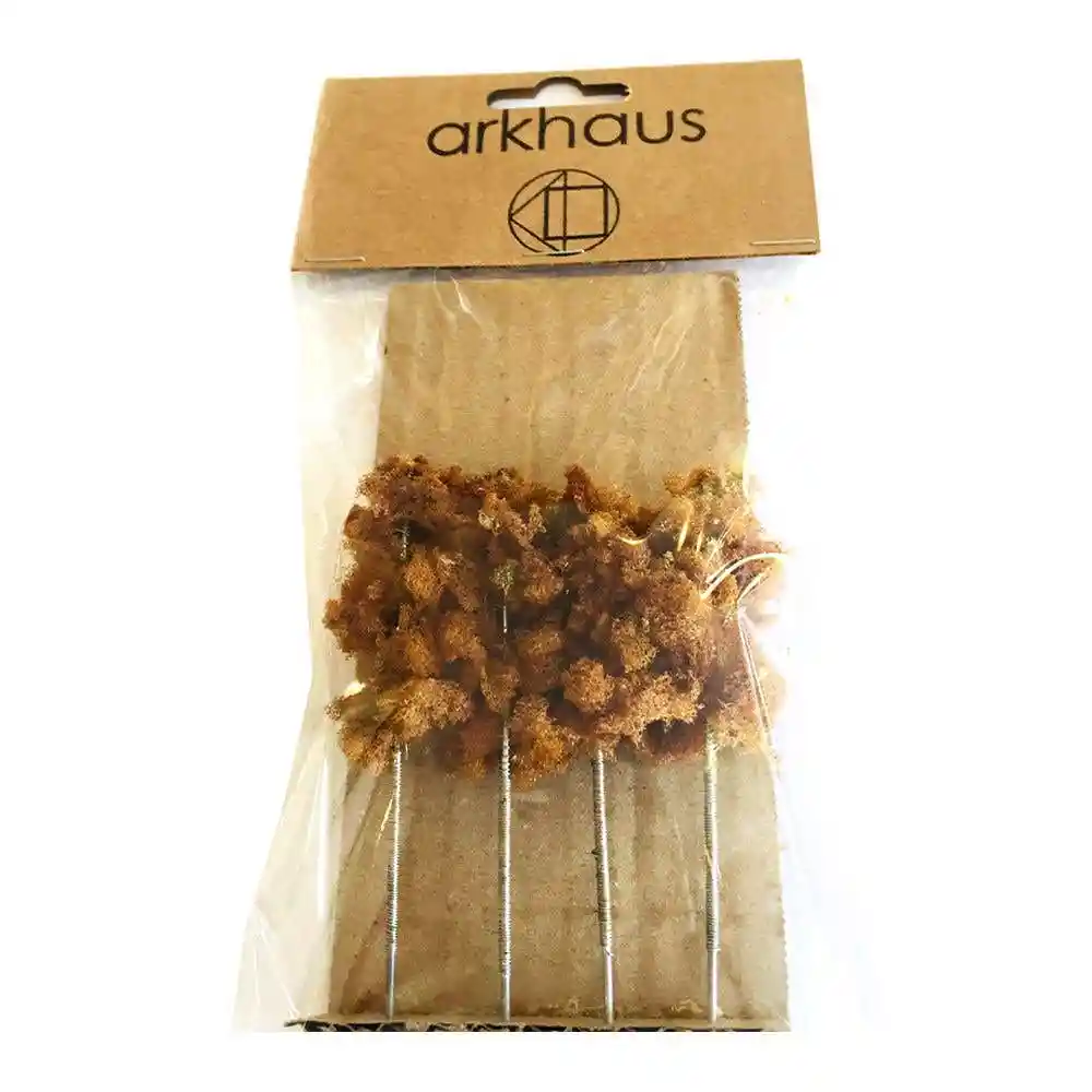 Árboles Café Claro de Altura Arkhaus