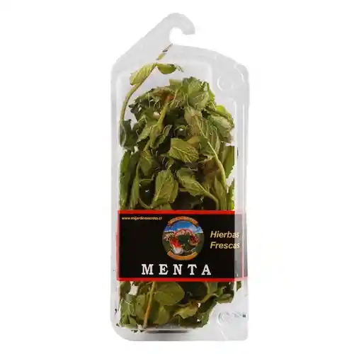 Menta Jumbo