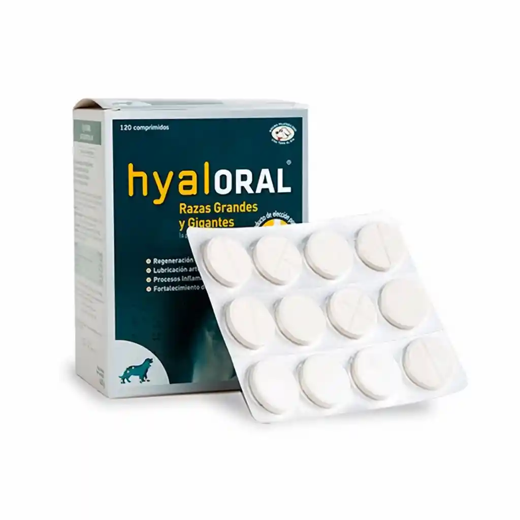 Raza Hyaloral Condroprotector Grande Y Gigante