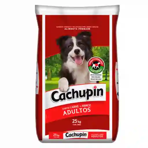 Cachupin Alimento para Perro Adulto Sabor a Carne y Arroz