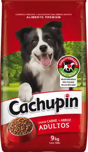 Cachupin Alimento para Perro Adulto Sabor a Carne y Arroz