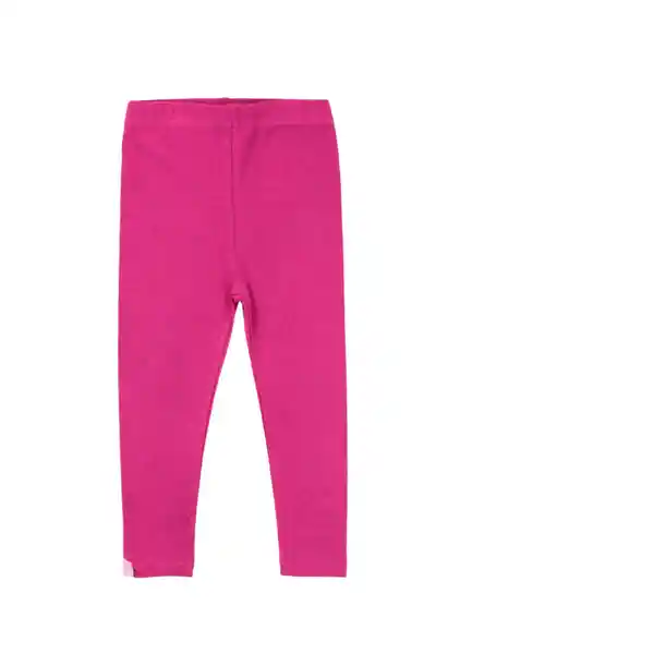 Leggins Day to Day 719 Bebé Magenta 18 a 24 Meses Ficcus