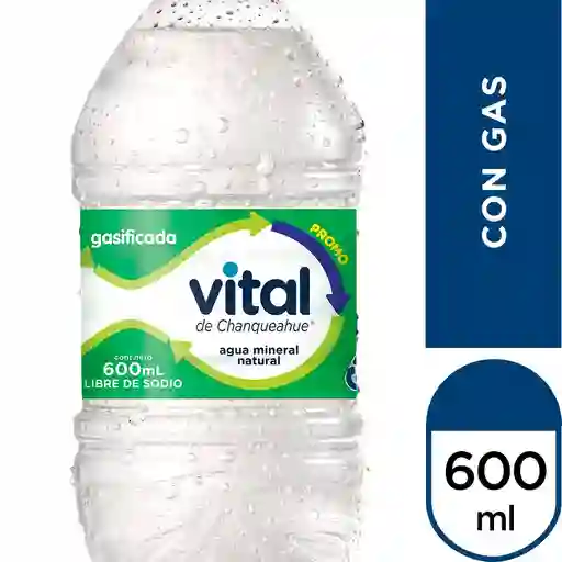 Agua Mineral Vital con Gas 600 ml