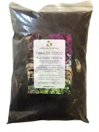 Chile Fibra de Coco Horticultura