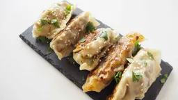 Gyozas de Verdura