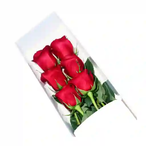 Caja con 6 Rosas rojas