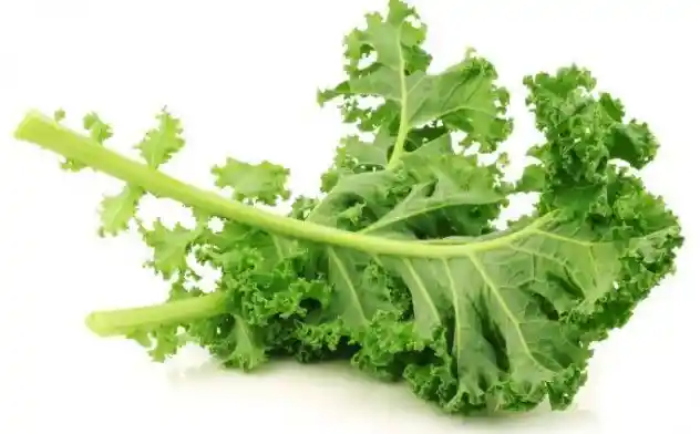 Kale