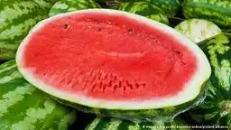 Sandia