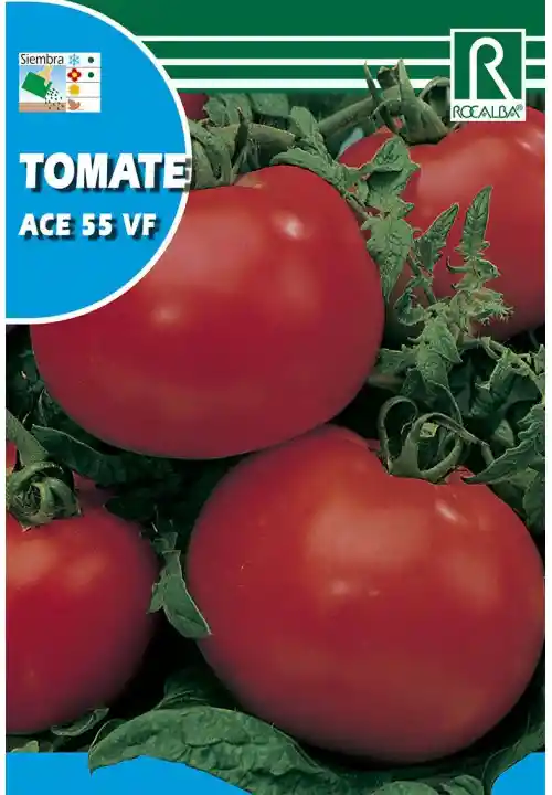 Tomate Ace 55 Vf
