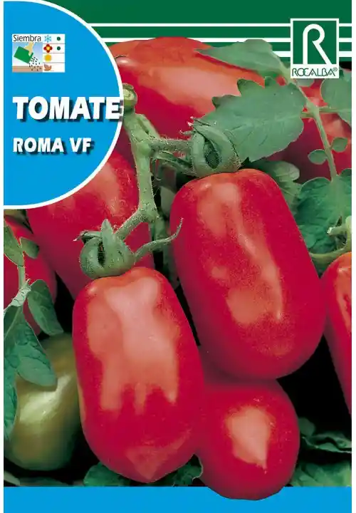 Tomate Roma Vf