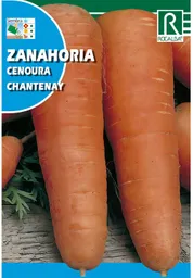 Zanahoria Chantenay