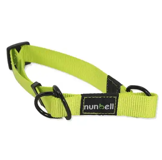Collar Gato Y Perro Resistente Y Ajustable Verde