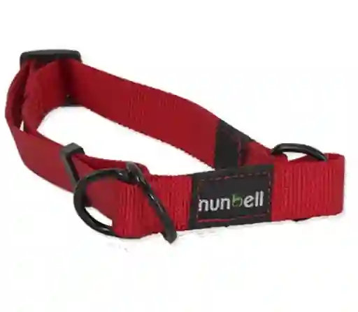 Collar Gato Y Perro Resistente Y Ajustable Naranjo