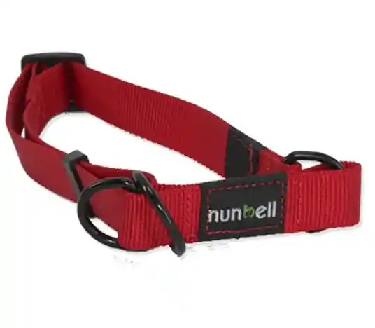 Collar Gato Y Perro Resistente Y Ajustable Naranjo