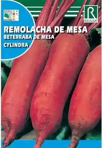 Remolacha De Mesa Cylindra