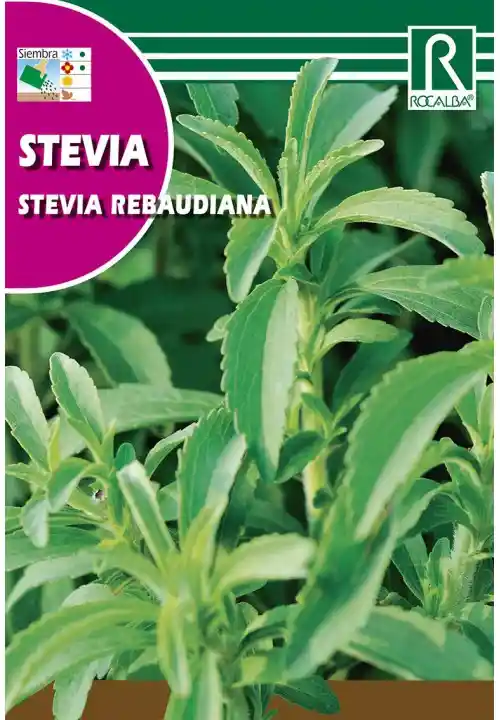 Stevia