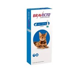 Bravecto Pipeta Gato 2.8-6.25kg