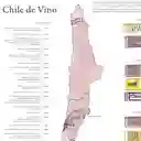Vinos De Chile 2020 - Lámina