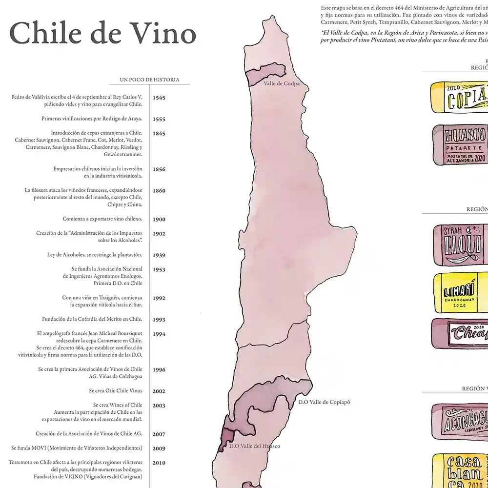 Vinos De Chile 2020 - Lámina