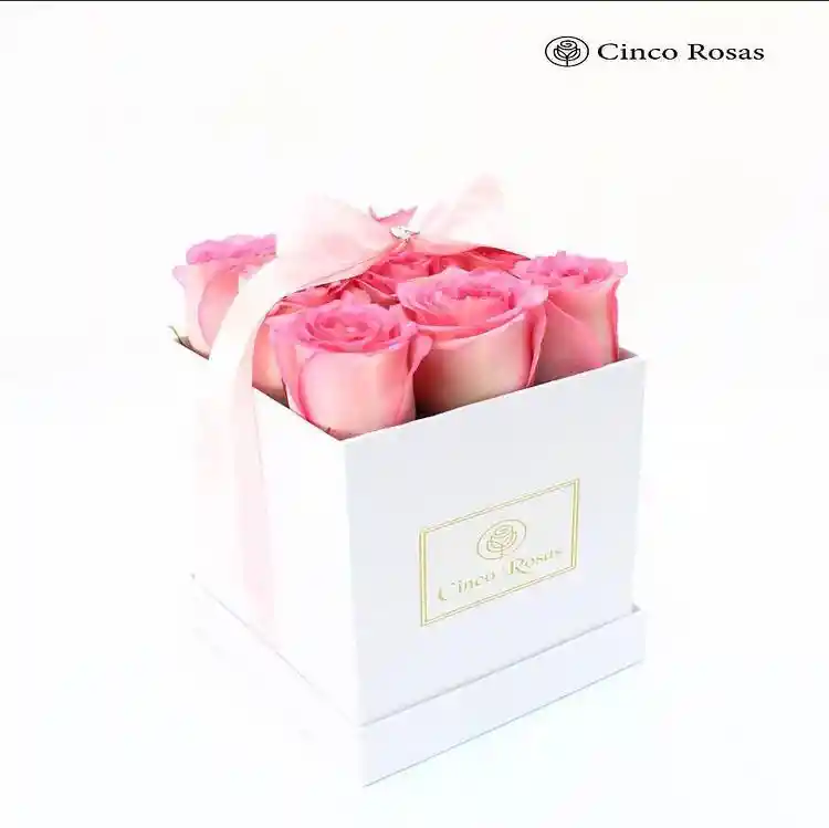 Box Rosé