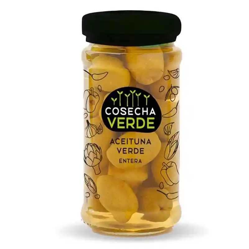 Cosecha verde Aceituna Verde Entera