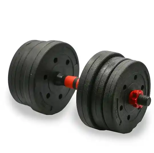 Par De Mancuernas Gym Entrenamiento Fitness 20 Kg