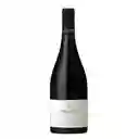 Aquitania Sol De Sol Pinot Noir