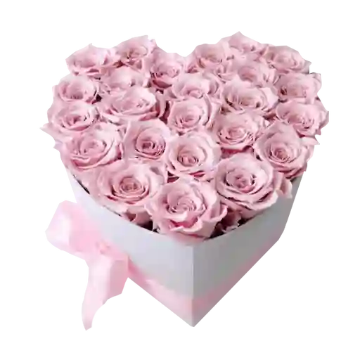 Caja Corazón Con 25 Rosas Importadas Rosadas