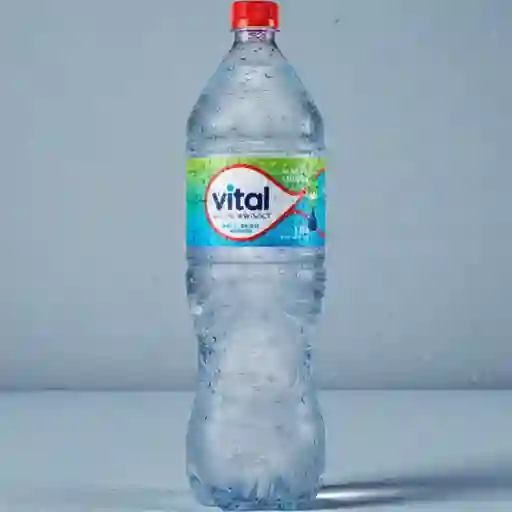 Agua vital sin gas