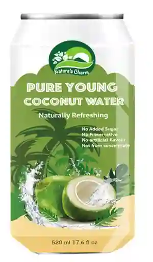 Nature's Charm - Pure Young Coconut Water 520 Ml
