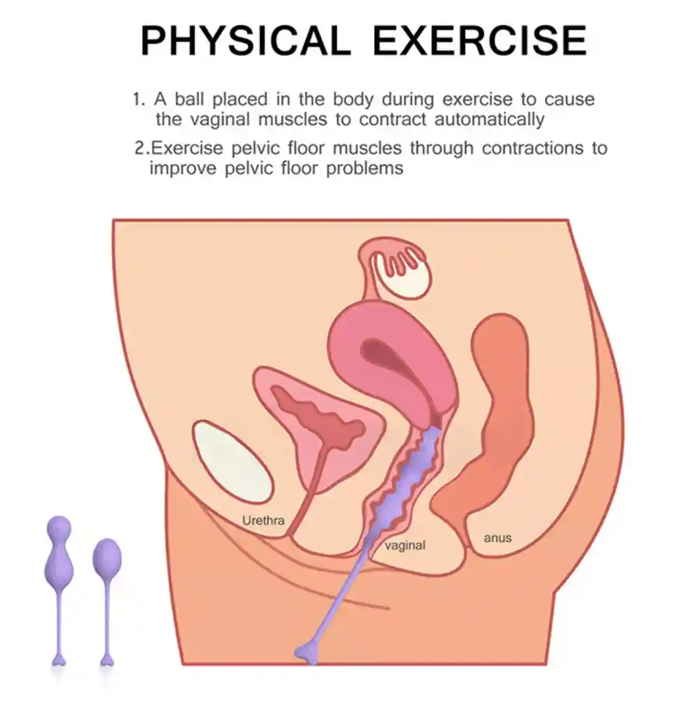 Heidi Entrenador De Suelo Pélvico