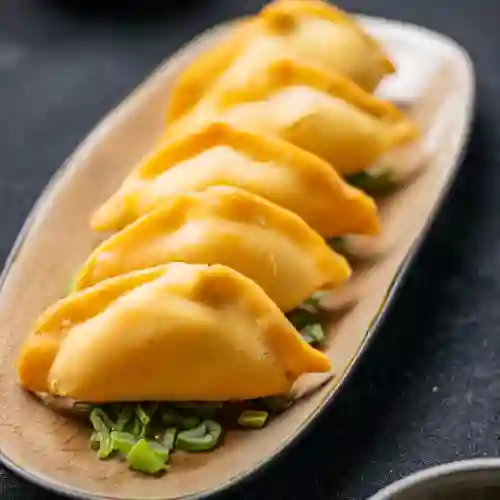 Gyozas de Verdura X5