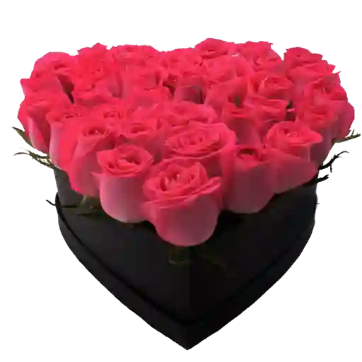 Caja Corazón Con 25 Rosas Fucsia