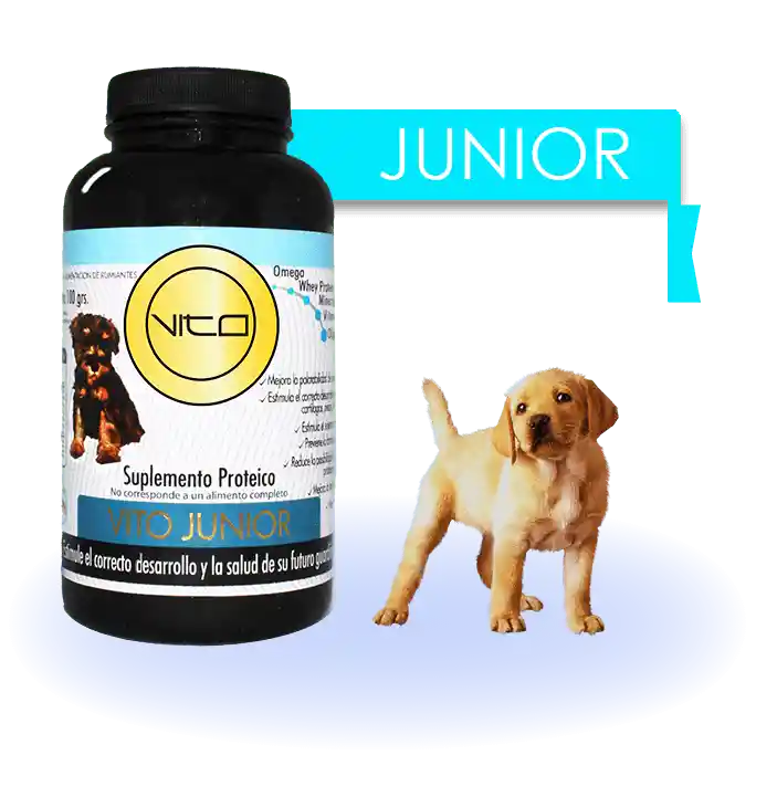 Vito Junior Suplemento Proteico 100 Grs
