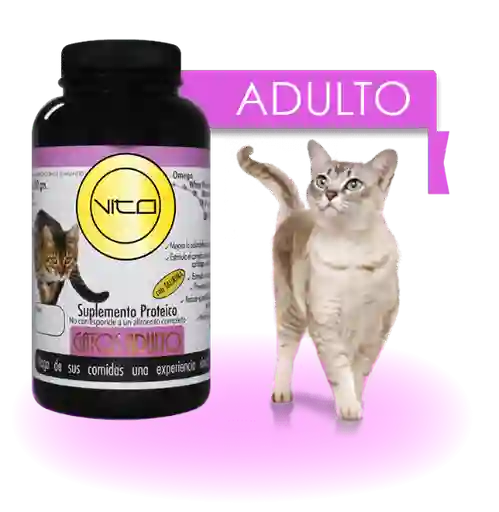 Vito Gato Adulto Suplemento Proteico 100 Grs