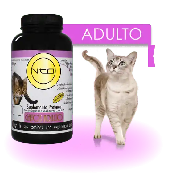 Vito Gato Adulto Suplemento Proteico 100 Grs