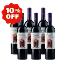 Secreto Vino Cabernet Sauvignon X6