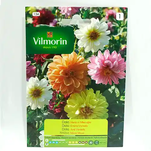Semillas De Dalia Enana Variada 1 Gr Vilmorin