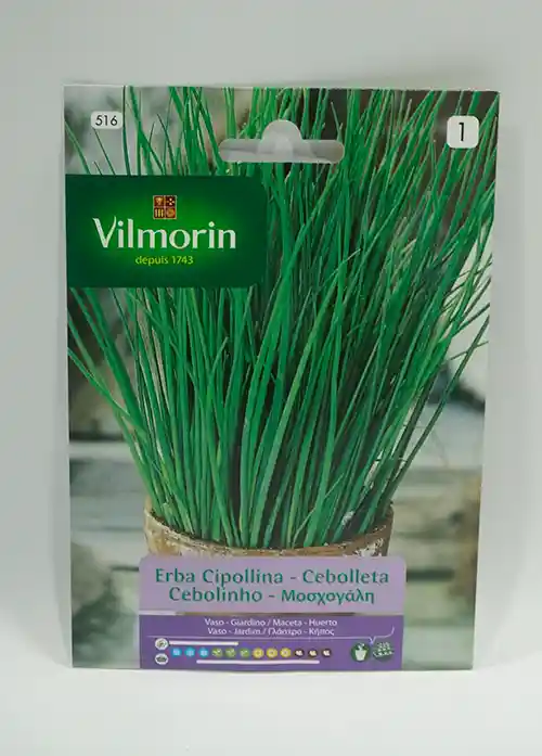 Semillas De Ciboulette 1 Gr Vilmorin