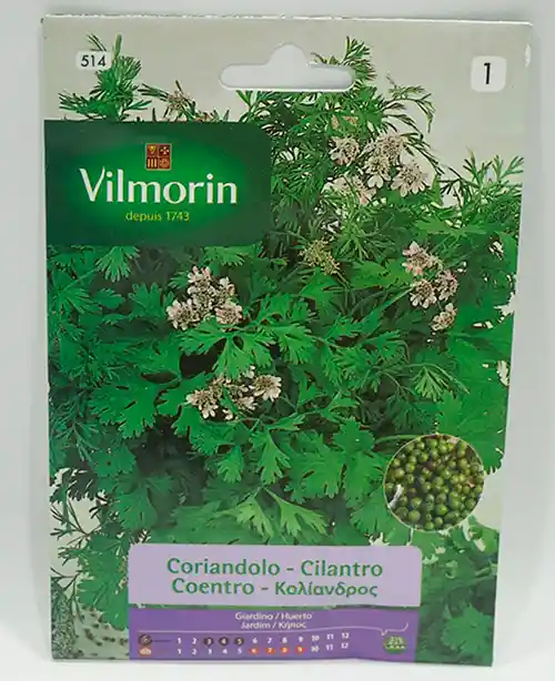 Semillas De Cilantro 5 Gr Vilmorin