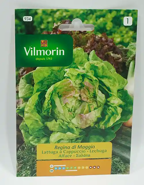 Semillas De Lechuga Reina De Mayo 7 Gr Vilmorin