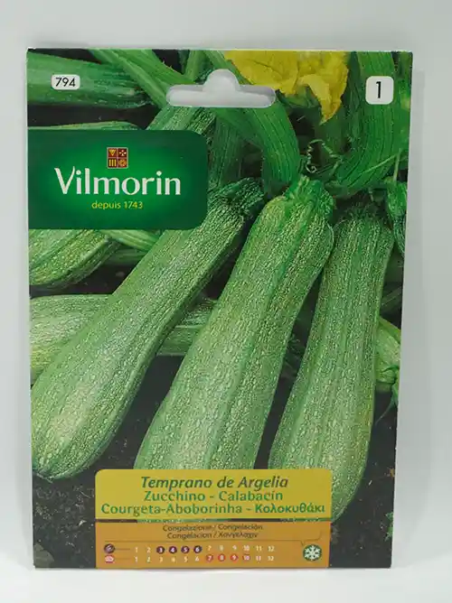 Semillas De Calabacín Temprano De Argelia 3 Gr Vilmorin